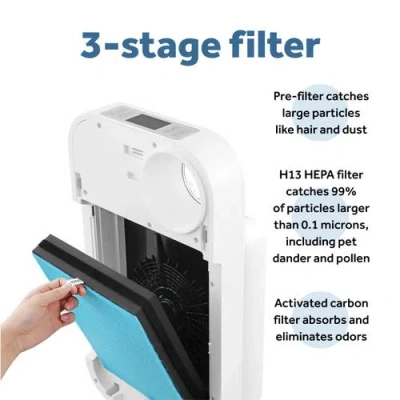 Oval Air H13 True Hepa 2-in-1 Replacement Charcoal Combined Filter With Pre-filter In Multi