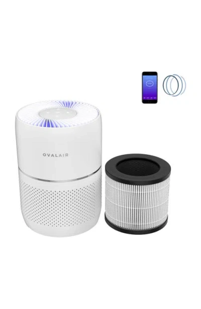 Oval Air H13 True Hepa Filter In Multi