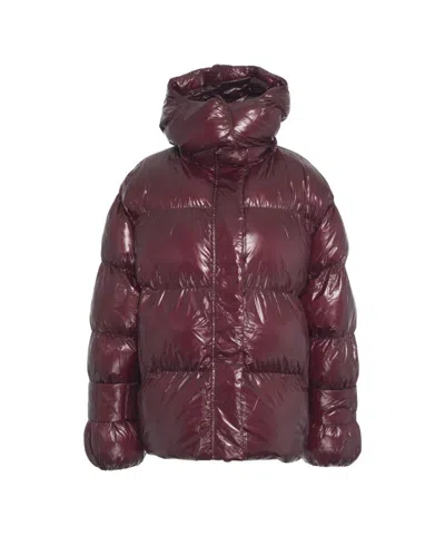 Oval Square Red Padded Down Coat With Hood In Burgundy