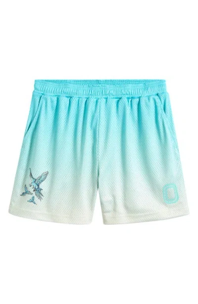 Overtime Summer Mesh Shorts In Blue