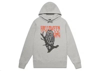 Pre-owned Ovo Men's  Devil Bird Hoodie In Heather Grey