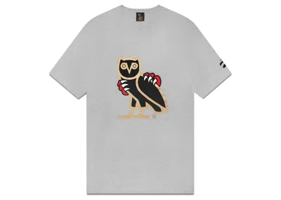 Pre-owned Ovo Men's  Jurassic Park Og Owl T-shirt In Heather Grey In Gray