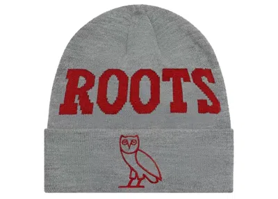 Pre-owned Ovo Roots Athletics Owl Beanie In Heather Grey In Gray