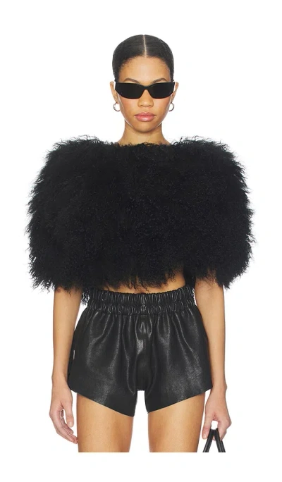 Ow Collection Nia Fur Top In Black