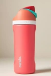 Owala Freesip 16 Oz. Water Bottle