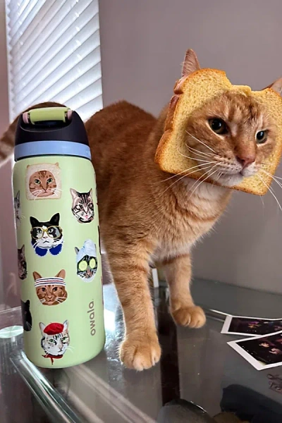 Owala Uo Exclusive Freesip 32 oz Water Bottle In Cat Collage At Urban Outfitters