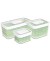 Oxo Produce Keepers Collection In No Color