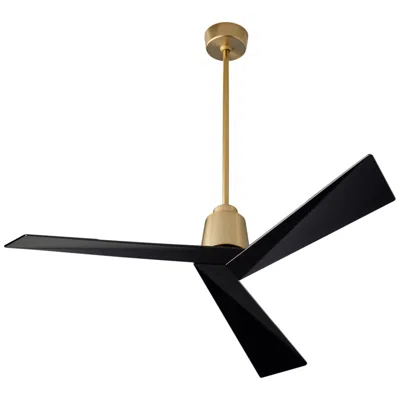 Oxygen 54"  Dynamo Brass And Black Damp Ceiling Fan With Wall Control