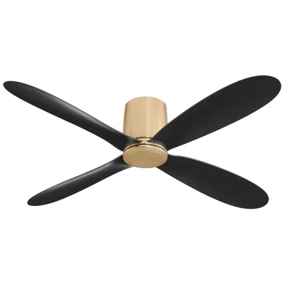 Oxygen 56"  Myriad Brass And Black Damp Rated Smart Hugger Ceiling Fan
