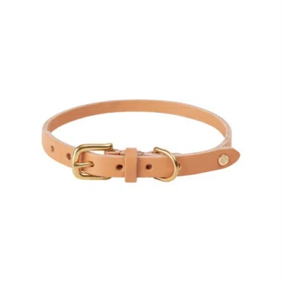 Oyoy Living Design Robin Dog Collar In Natural