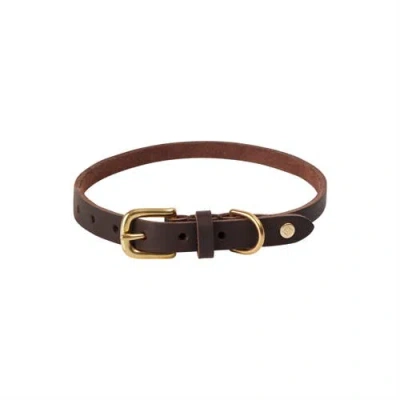 Oyoy Robin Dog Collar In Brown