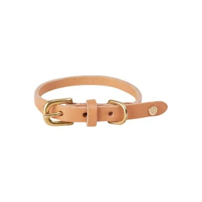 Oyoy Robin Dog Collar In Brown