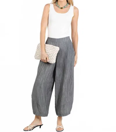 Ozai N Ku Karen Stripe Pants In Grey In Gray