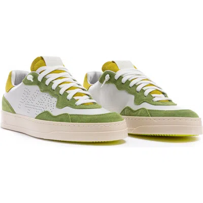 P448 Bali Low Top Sneaker (men)<br /> In White/green