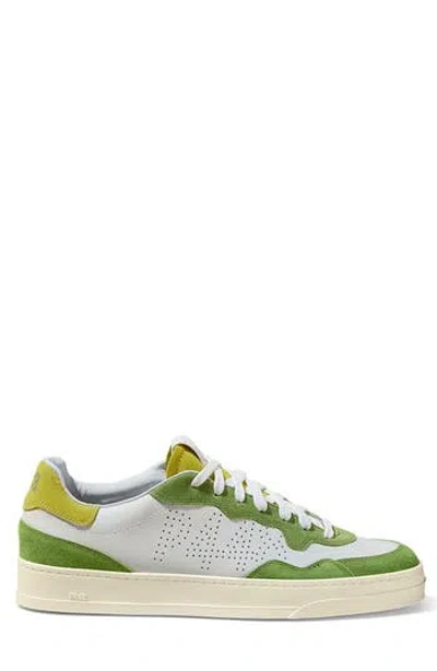 P448 Bali Low Top Sneaker In White/green