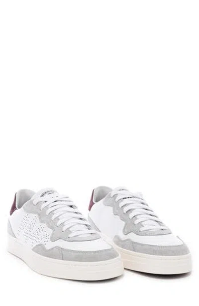 P448 Bali Sneaker In White/burgundy