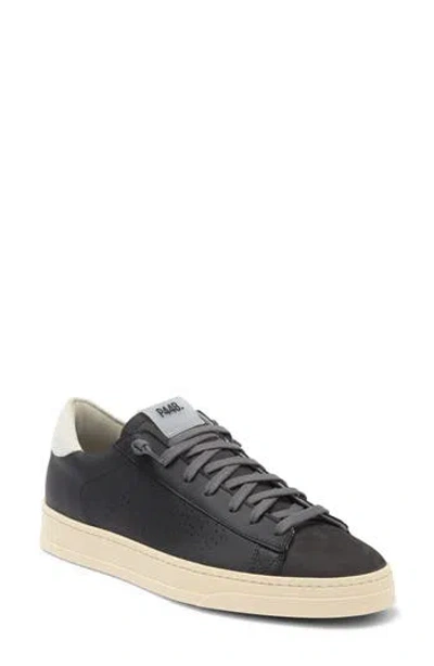 P448 Jack Sneaker In Spider/black