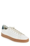 P448 Jack Sneaker In White/dark Blue