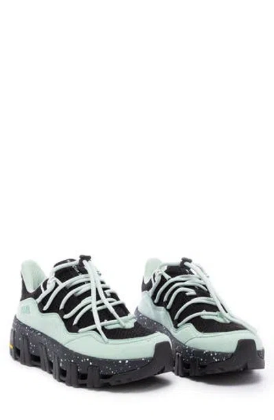 P448 Monalea Sneaker In Poison Dart