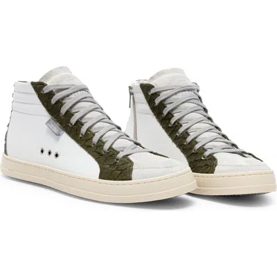 P448 Project Sustainability Skate High Top Sneaker In Carp/cactus