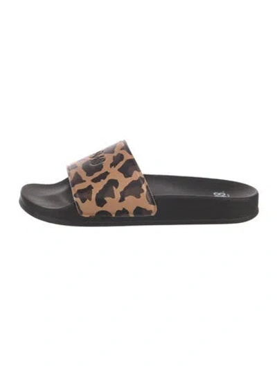 Pre-owned P448 Rubber Animal Print Slides In Brown