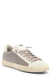 P448 Skate Low Top Sneaker In Multi