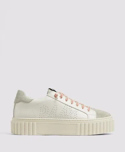 P448 Trainers