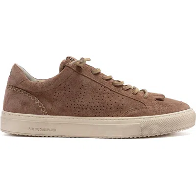 P448 Soho Des Sneaker In Brown