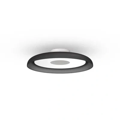 Pablo Designs Nivél Flush Mount In Black