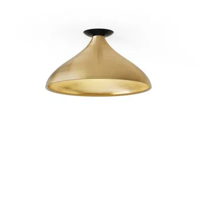 Pablo Designs Swell Single Wide Flush Lamp (exterior, Interior) In Brass,brass