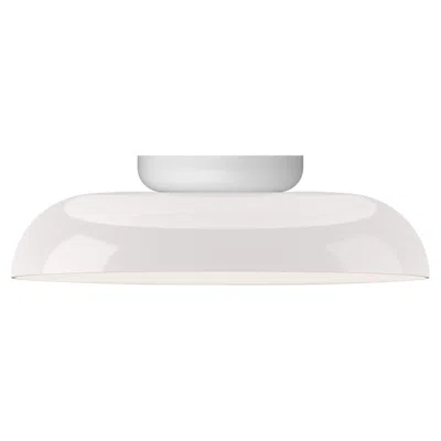 Pre-owned Pablo Designs Totem Flush D By  In Transparent