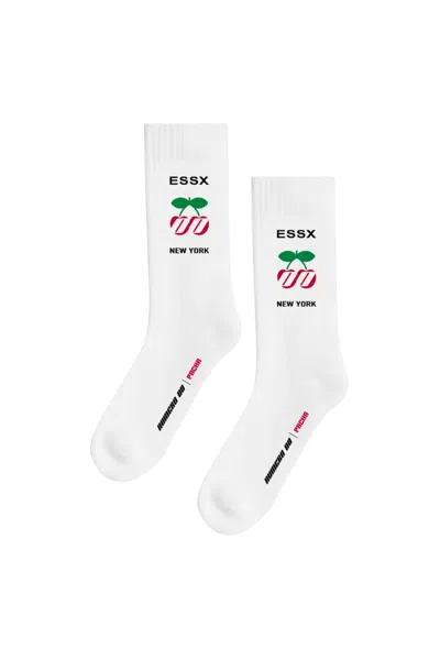 Pacha Men's Cotton Crew Socks With Terry Sole And Ribbed Leg 02 White