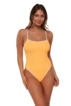 Pacifica By Sunsets Ariel One Piece Swimsuit