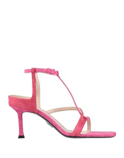 Paciotti Woman Sandals Fuchsia Size 8 Leather In Pink