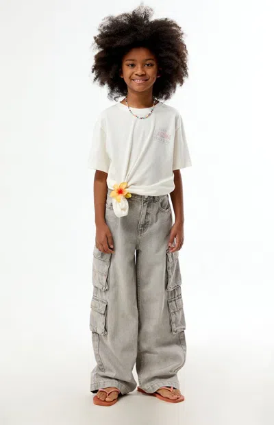 Pacsun Baggy Jeans Cargo Gray