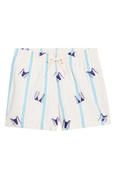 Pacsun Bikini Embroidered Stripe Swim Trunks In Multi