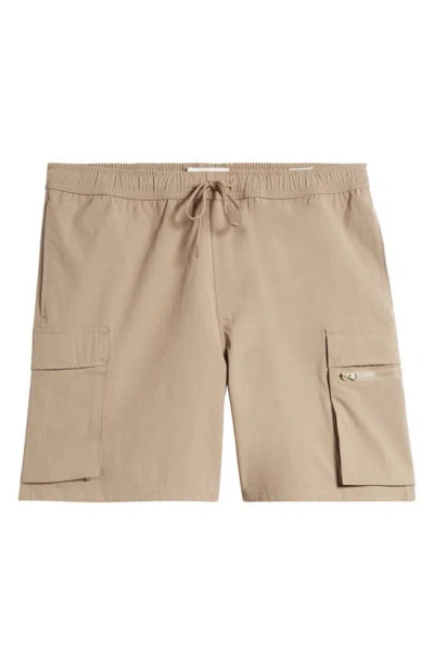 Pacsun Ethan Cargo Shorts In Brown