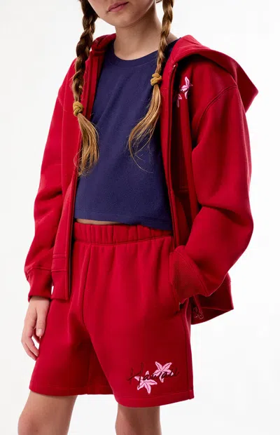 Pacsun Hawaii Embroidered Baggy Sweat Shorts In Red