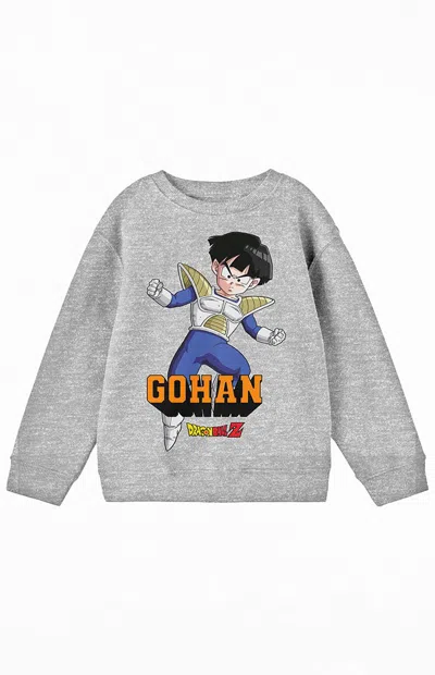 Pacsun Kids Dragon Ball Z Crew Neck Sweatshirt In Gray