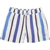 Pacsun Kids' Stripe Board Shorts In Blue/white Stripe