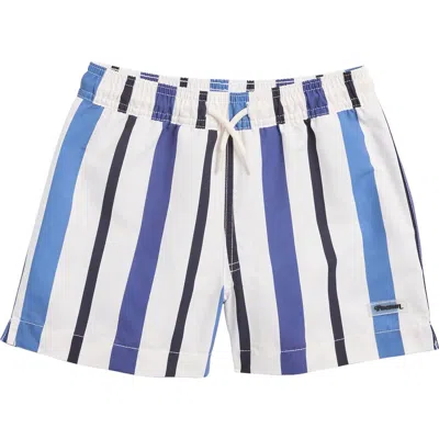 Pacsun Kids' Stripe Board Shorts In Blue/white Stripe