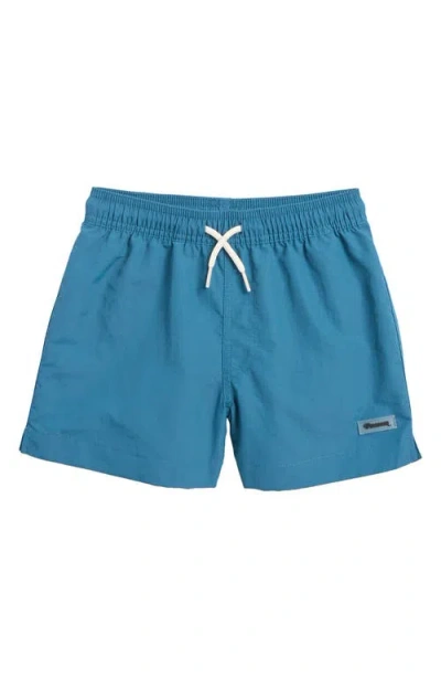 Pacsun Kids' Board Shorts In Green/sage