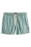 Pacsun Maldives Stripe Swim Trunks In Blue