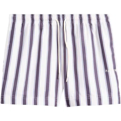 Pacsun Mandarin Coal Stripe Swim Trunks