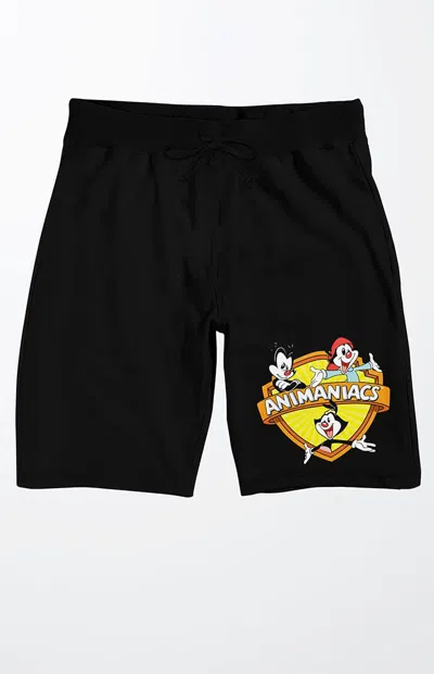 Pacsun Men's Animaniacs Logo Sweat Shorts In Black