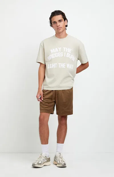 Pacsun Men's Brown Aaron Mesh Volley Shorts