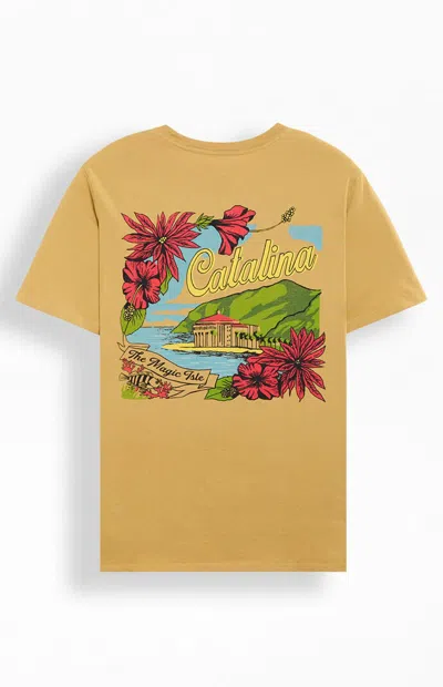 Pacsun Men's Catalina T-shirt In Yellow