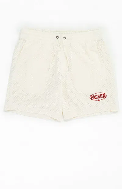 Pacsun Men's Cream Mesh Basketball Shorts In Multi