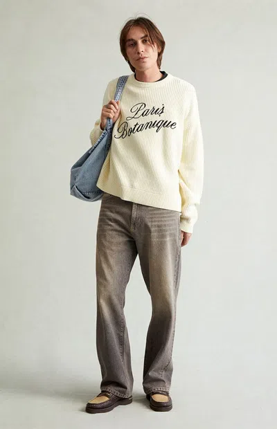 Pacsun Men's Dylan Baggy Jeans Brown Tint In Neutral