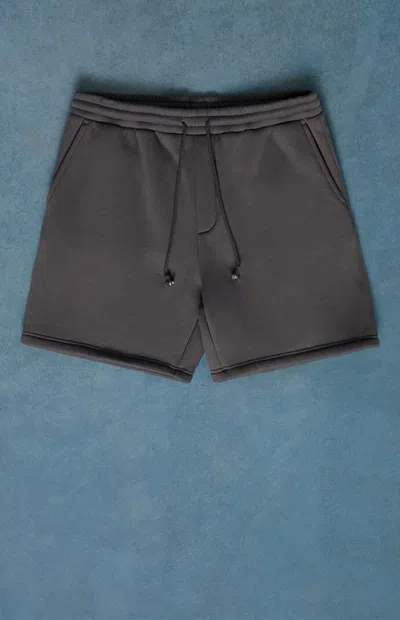 Pacsun Men's Gray Fleece Volley Sweat Shorts In Pewter In Brown